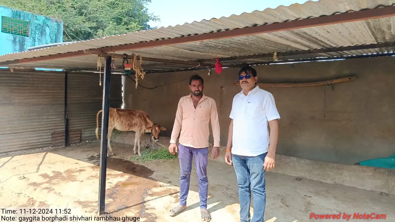 101 शेतकऱ्यांना गायगोठा योजना