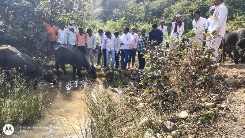 वनराई बंधारे उभारणी – लोकसहभागातून